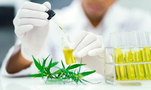 Compliance with Regulations: